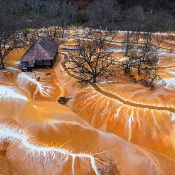 Pusztulásra ítélve