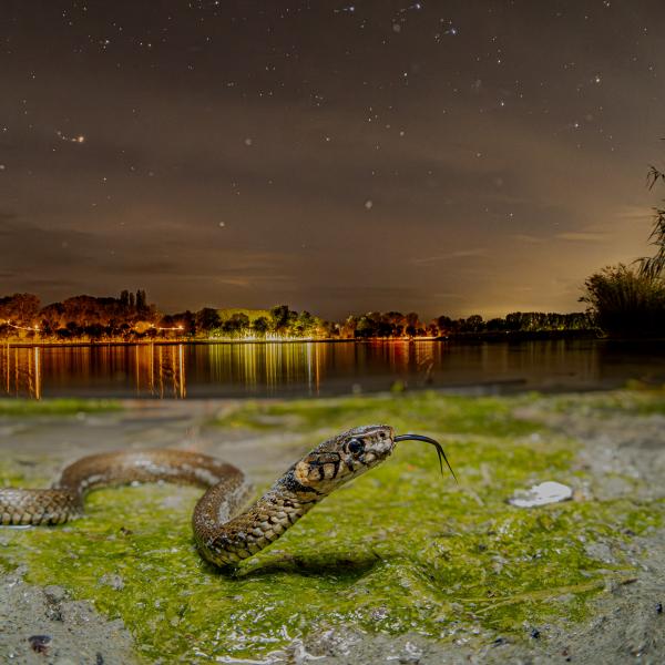 A város fényein túl